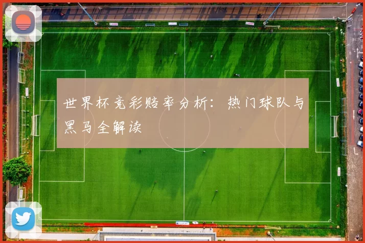 世界杯竞彩赔率分析：热门球队与黑马全解读