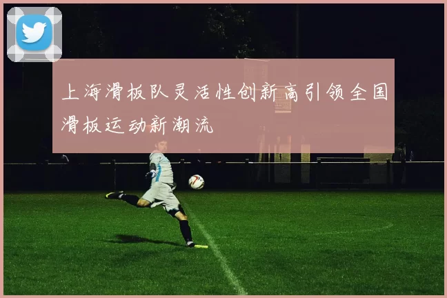 上海滑板队灵活性创新高引领全国滑板运动新潮流