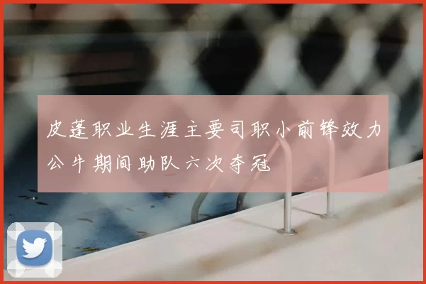 皮蓬职业生涯主要司职小前锋效力公牛期间助队六次夺冠