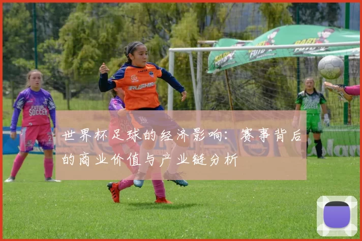 世界杯足球的经济影响：赛事背后的商业价值与产业链分析