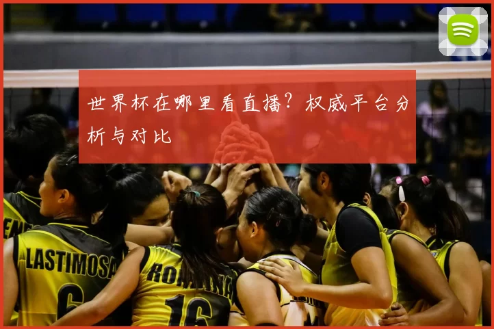 世界杯在哪里看直播？权威平台分析与对比