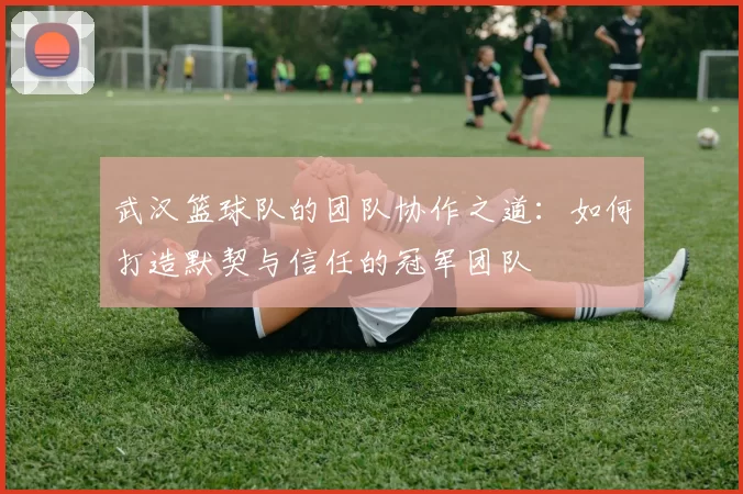 武汉篮球队的团队协作之道：如何打造默契与信任的冠军团队